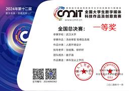 2024-12数字媒体科技作品-国1